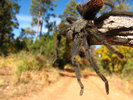 photo thumbnail #9