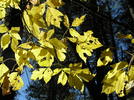 photo thumbnail #14