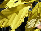 photo thumbnail #15
