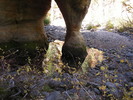 photo thumbnail #11