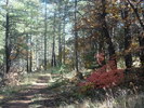 photo thumbnail #4