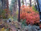 photo thumbnail #1