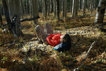 photo thumbnail #5