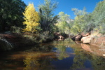 photo thumbnail #1