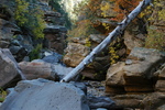 photo thumbnail #4