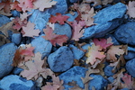 photo thumbnail #6