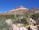 photo thumbnail #1