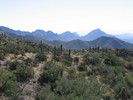 photo thumbnail #5