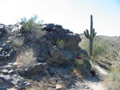 photo thumbnail #10