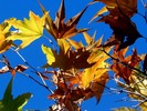 photo thumbnail #8