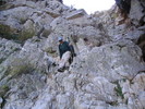 photo thumbnail #9