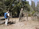 photo thumbnail #8