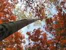 photo thumbnail #14