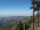 photo thumbnail #2