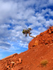 photo thumbnail #7