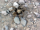 photo thumbnail #1