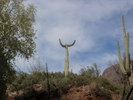 photo thumbnail #7