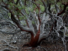 photo thumbnail #2