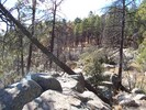 photo thumbnail #2