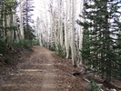 photo thumbnail #1