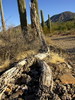 photo thumbnail #6