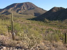 photo thumbnail #7