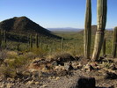 photo thumbnail #8