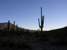 photo thumbnail #12