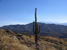 photo thumbnail #2
