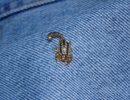 photo thumbnail #5