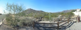 photo thumbnail #3