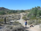 photo thumbnail #7