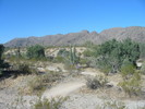 photo thumbnail #9