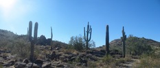 photo thumbnail #10