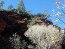 photo thumbnail #5