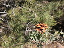 photo thumbnail #8