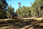 photo thumbnail #6