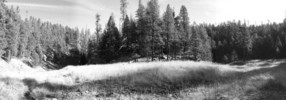 photo thumbnail #11