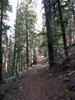 photo thumbnail #12