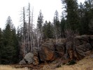 photo thumbnail #14
