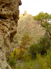 photo thumbnail #8