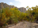 photo thumbnail #12