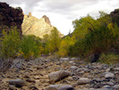 photo thumbnail #14