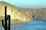photo thumbnail #3