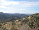 photo thumbnail #8