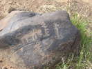 photo thumbnail #9