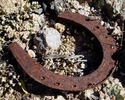 photo thumbnail #5