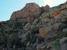 photo thumbnail #12