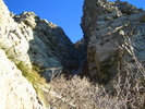 photo thumbnail #10