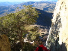 photo thumbnail #11